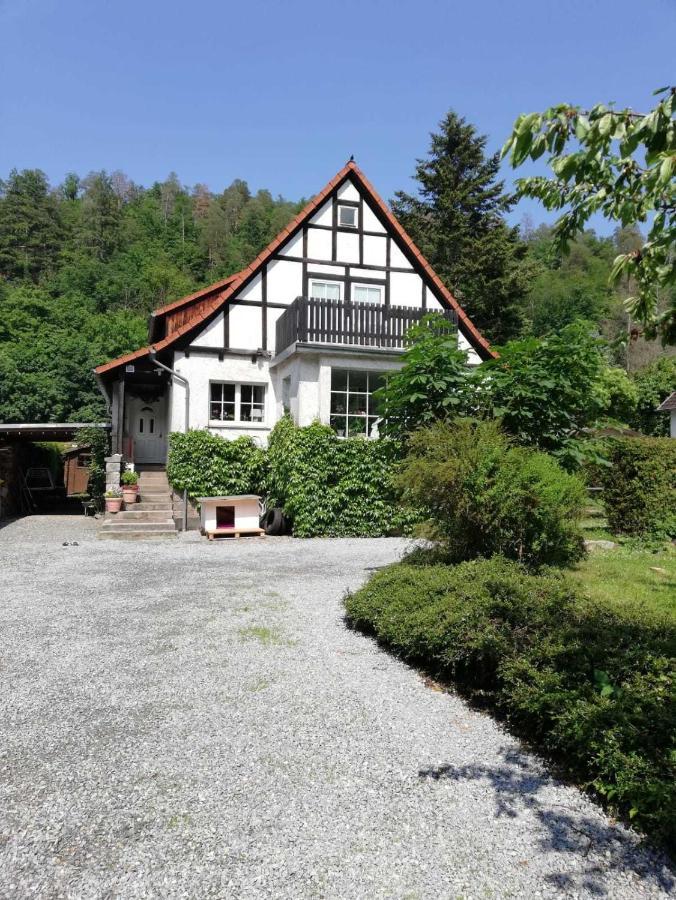 Ferienwohnung Natur Pur Muehlental Wernigerode Kültér fotó