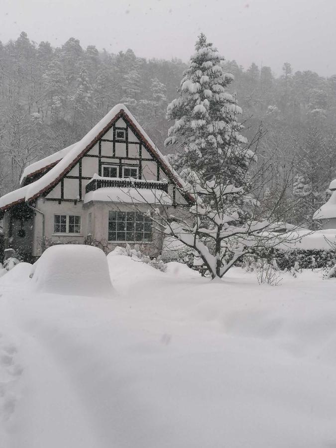 Ferienwohnung Natur Pur Muehlental Wernigerode Kültér fotó