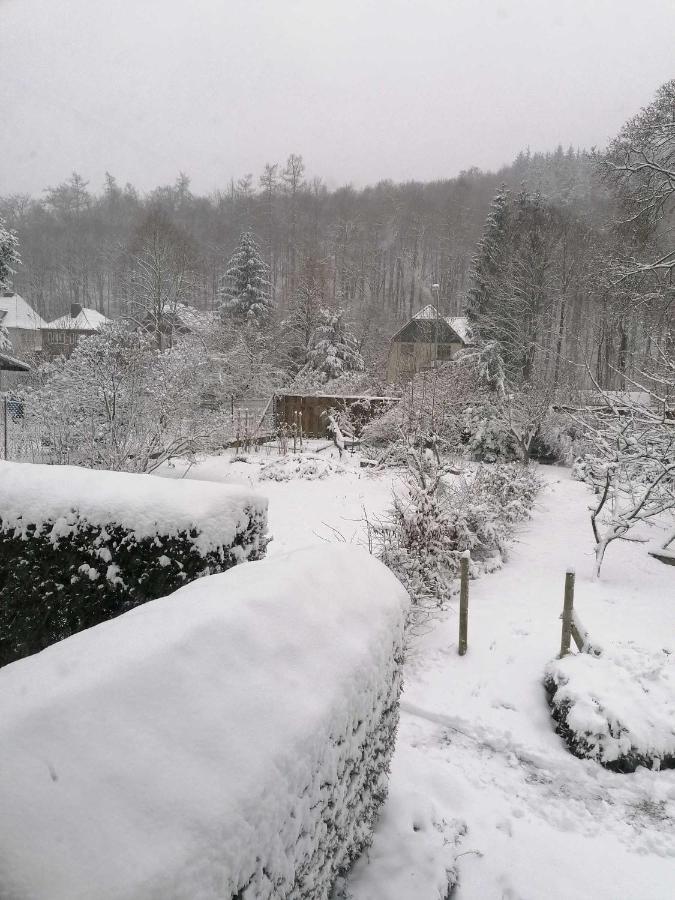 Ferienwohnung Natur Pur Muehlental Wernigerode Kültér fotó
