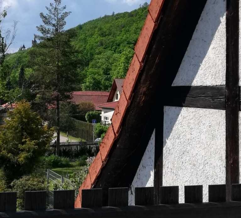 Ferienwohnung Natur Pur Muehlental Wernigerode Kültér fotó