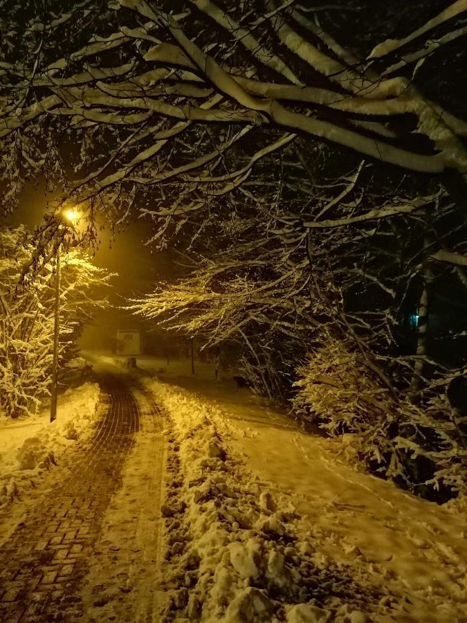 Ferienwohnung Natur Pur Muehlental Wernigerode Kültér fotó