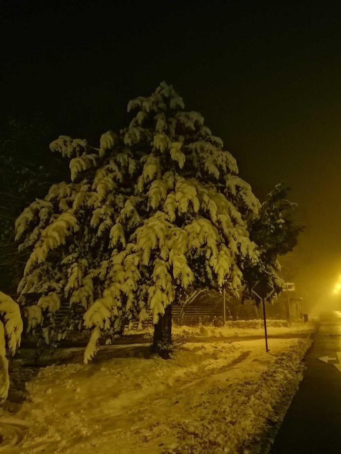 Ferienwohnung Natur Pur Muehlental Wernigerode Kültér fotó